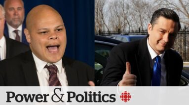 Political Pulse panel: What's at stake for the Liberals following Conservative byelection victory?