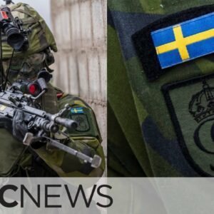 What can Sweden bring to NATO now that it's joining?