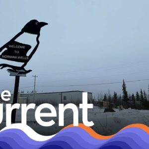 How climate change plays a role in the affordability crisis of Canada's North | The Current