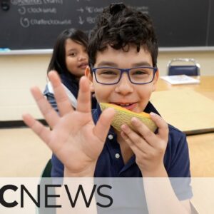 A look at a Toronto school food program as feds announce $1B plan
