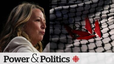 Keffiyeh is 'cultural attire,' not a political statement, says Ont. NDP leader | Power & Politics