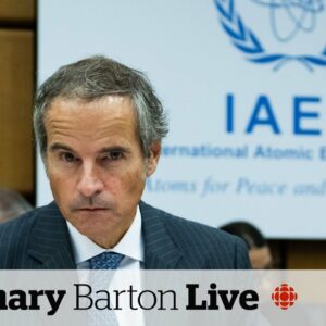 Nuclear facilities 'should never be a military target,' says UN watchdog chief