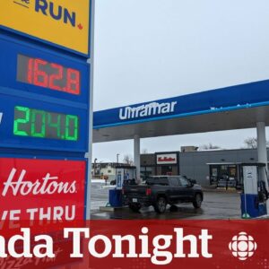 Carbon tax backed by studies and data, says economist | Canada Tonight