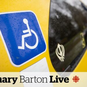 Disabled people won't avoid poverty with $200/month: advocate