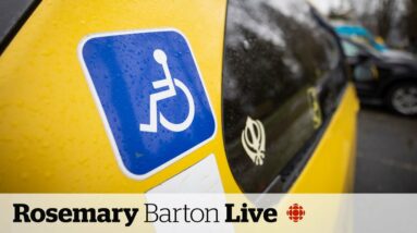 Disabled people won't avoid poverty with $200/month: advocate