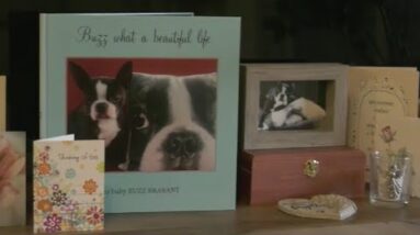 Family dog dies after alleged error at Ontario animal hospital