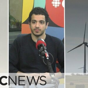 How birds inspired this wind turbine design