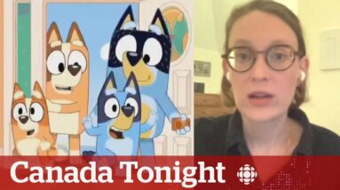 How the kids show Bluey is stealing parents' hearts | Canada Tonight
