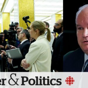 Erin O'Toole believes foreign meddling lost his party some seats in 2021 election | Power & Politics
