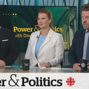 Political Pulse Panel: Carbon tax partisan split and foreign interference
