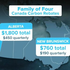 Outrage, protests after carbon tax increase | CTV National News