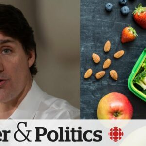Ottawa pledging $1B to launch national school food program | Power & Politics