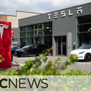 Tesla's Q1 net income down 55% year over year