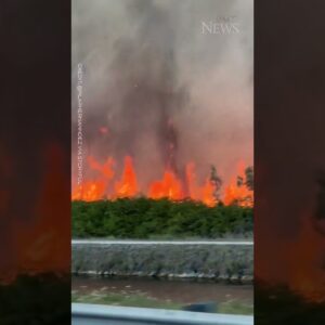 WATCH: Brush burns over 150 acres of land in Miami #shorts