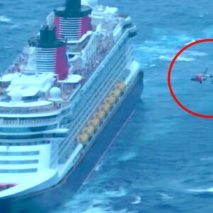 WATCH | Pregnant passenger airlifted from Disney cruise ship