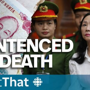 Why a Vietnamese billionaire has been sentenced to death