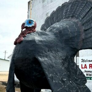 Winnipeg town has a giant turkey statue