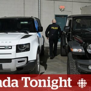 Canada emerges as key source country for stolen motor vehicles, says Interpol | Canada Tonight