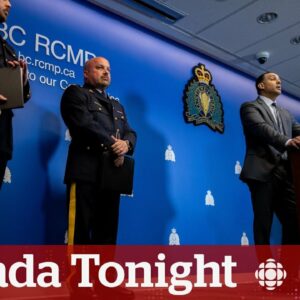 Good police work 'takes time,' says former RCMP sergeant on Nijjar arrests | Canada Tonight