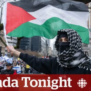 How a student in the West Bank views student protests in the U.S. and Canada | Canada Tonight