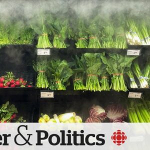 MPs debate high cost of food; fallout over allegations made in Sask. legislature | Political Pulse