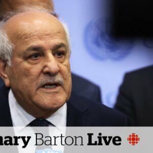 ICJ ruling on Rafah has 'massive' moral power, says Palestinian ambassador to UN