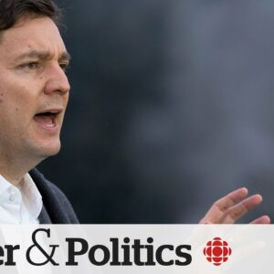B.C. United Leader says merger with B.C. Conservatives unlikely | Power & Politics