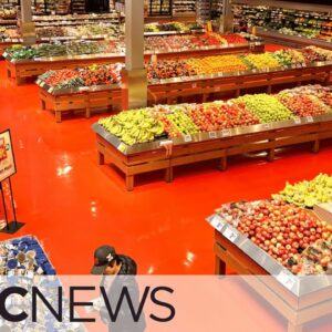 Loblaws, Sobeys owners under investigation by Competition Bureau