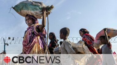 'People are eating leaves': UN agencies warn of starvation in Sudan