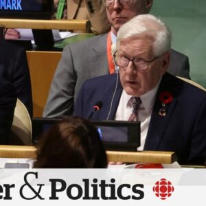 Canada has 'many steps' to take before recognizing Palestinian state: Bob Rae | Power & Politics