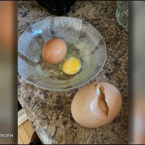 EGGSTRAORDINARY | Ontario chicken farmer discovers egg inside of another egg