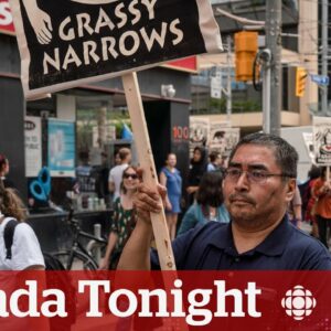 Mercury poisoning is worsening in Ontario's Grassy Narrows First Nation: study | Canada Tonight