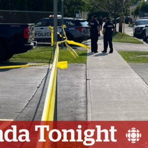 3 people dead in Toronto office shooting near daycare | Canada Tonight