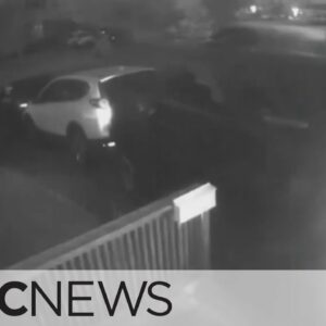 Video shows thieves ramming into vehicle during car theft in Brampton, Ont.
