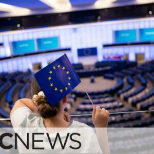 EU vote results could mean policy shift on Ukraine, climate change