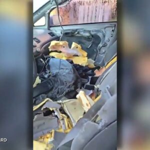 CAUGHT ON CAMERA | Ontario woman's car ransacked after bear gets stuck inside