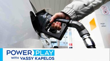 What new carbon pricing data tells us about the carbon tax | Power Play with Vassy Kapelos
