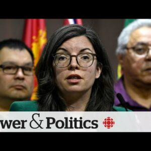 NDP MP billed taxpayers for $17K trip with family | Power & Politics