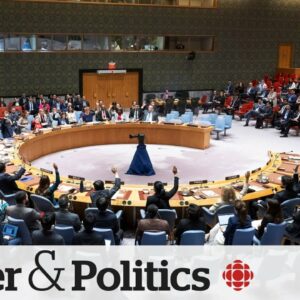 UN Security Council backs U.S.-drafted Gaza ceasefire resolution