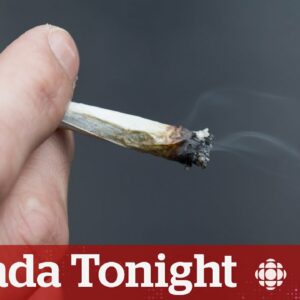 Very few pardons for pot possession granted since 2019 | Canada Tonight