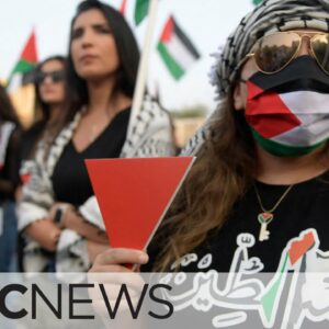 What do red triangles at pro-Palestinian protests symbolize?